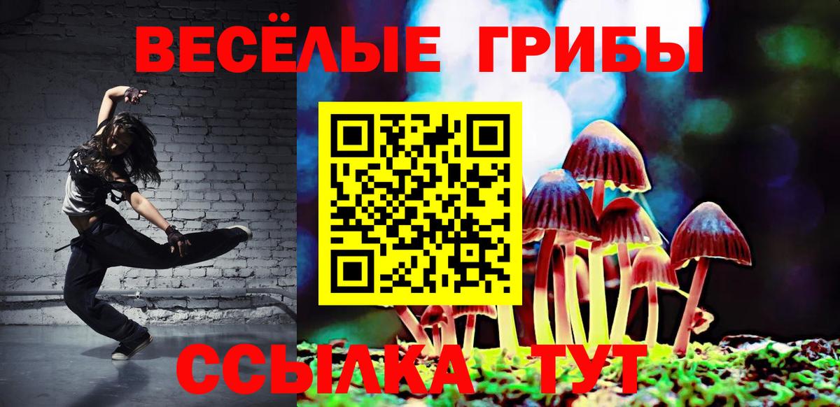 Кингисепп  Галлюциногенные грибы мухоморы  что такое наркотик  Вход с VPN  Псилоцибиновые грибы Cubensis 